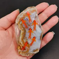 برکه عقیق آبی کبود طرح‌دار به همراه ماهی‌های قرمز شاداب و دوست‌داشتنی کد: : M 1121
