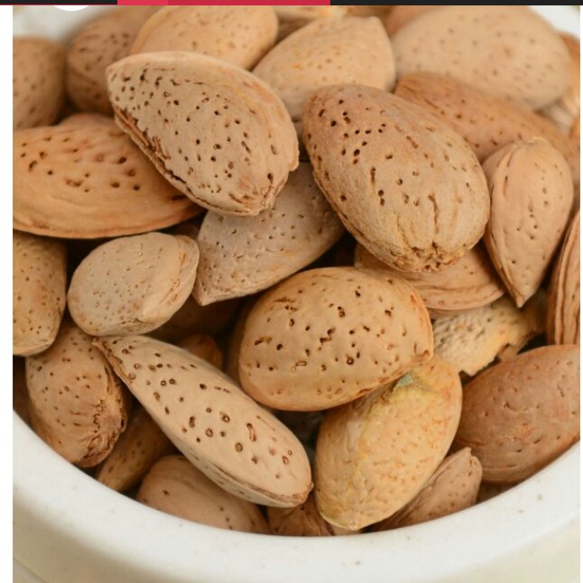 بادام سنگی آذربایجان