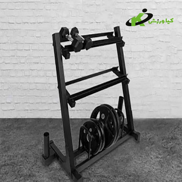خرید رک دمبل و صفحه Dumbbell rack and pate NS 6001