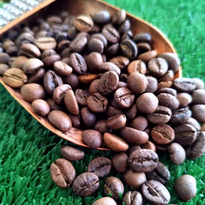 قهوه روبوستا چری مدیوم درجه 1