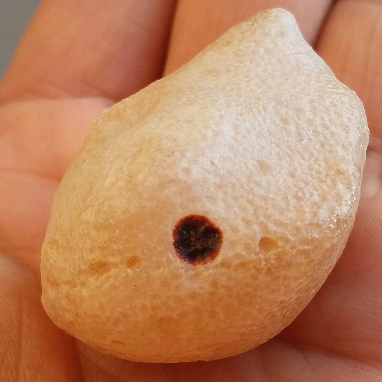 سنگ راف خام عقیق تک چشم برش نخورده بسیاار زیبا 100 در 100 طبیعی سرشار از خواص شاهکار خلقت دیدنی