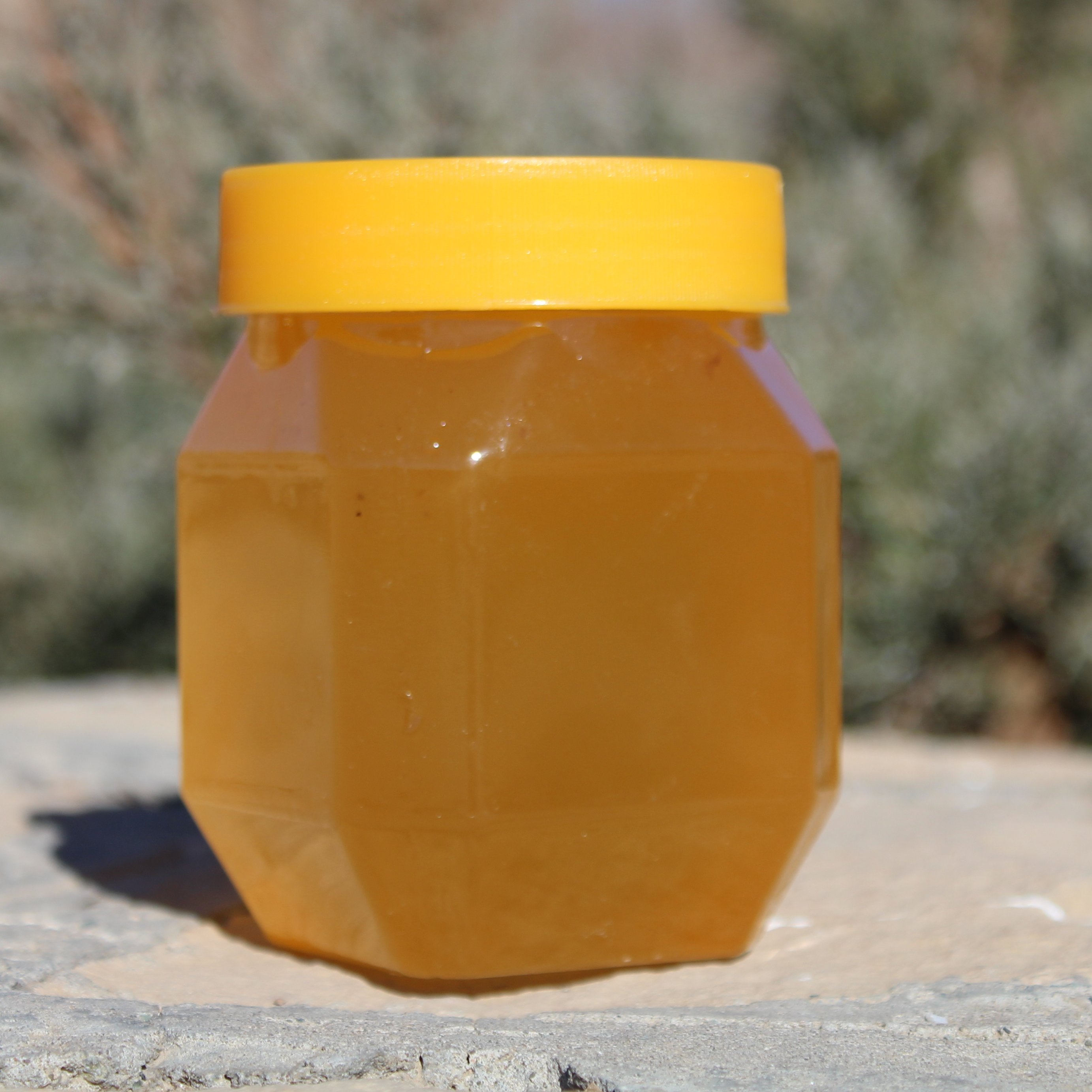 عسل طبیعی بهاره گَوَن 500 گرمی