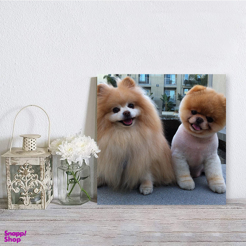 تابلو شاسی صبا طرح مدل سگ پامرانین