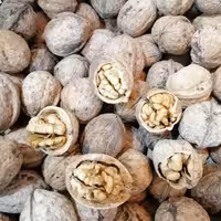 گردوی درجه یک، یک کیلویی