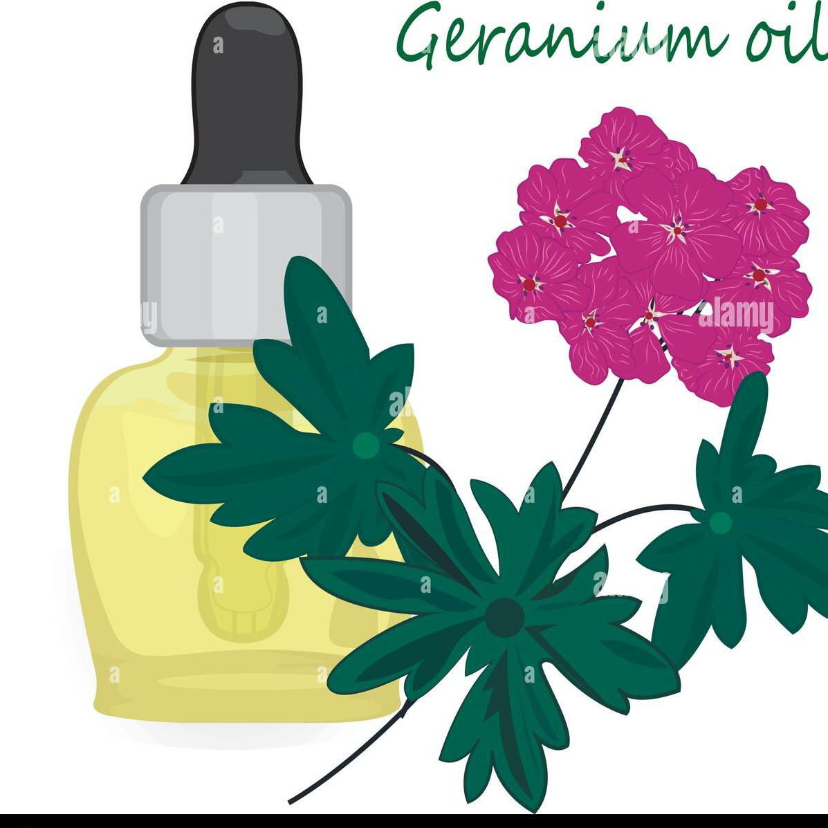 روغن آرگان مراکشی پرس 20میل