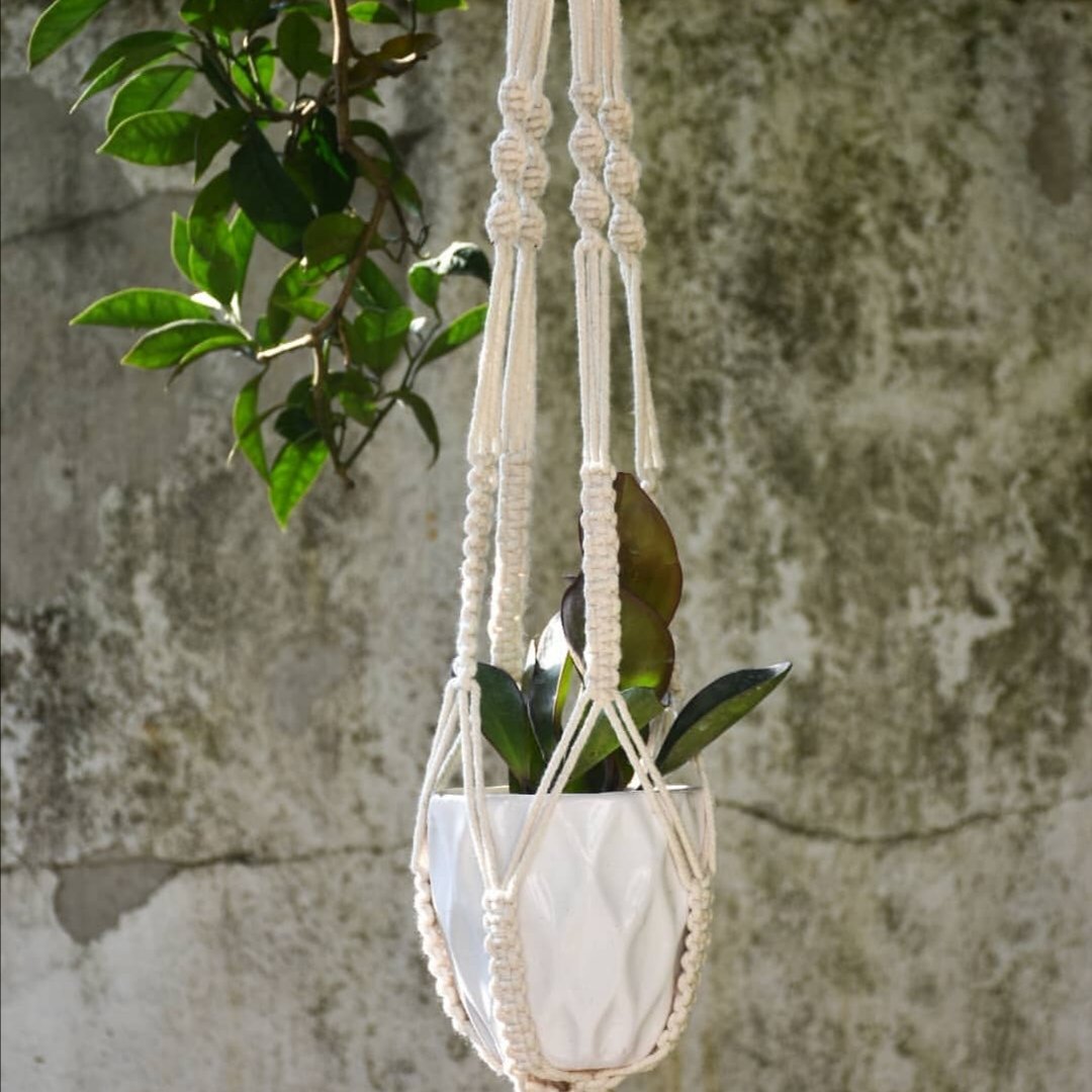 آویز گلدان در رنگ و مدل و طول متفاوت