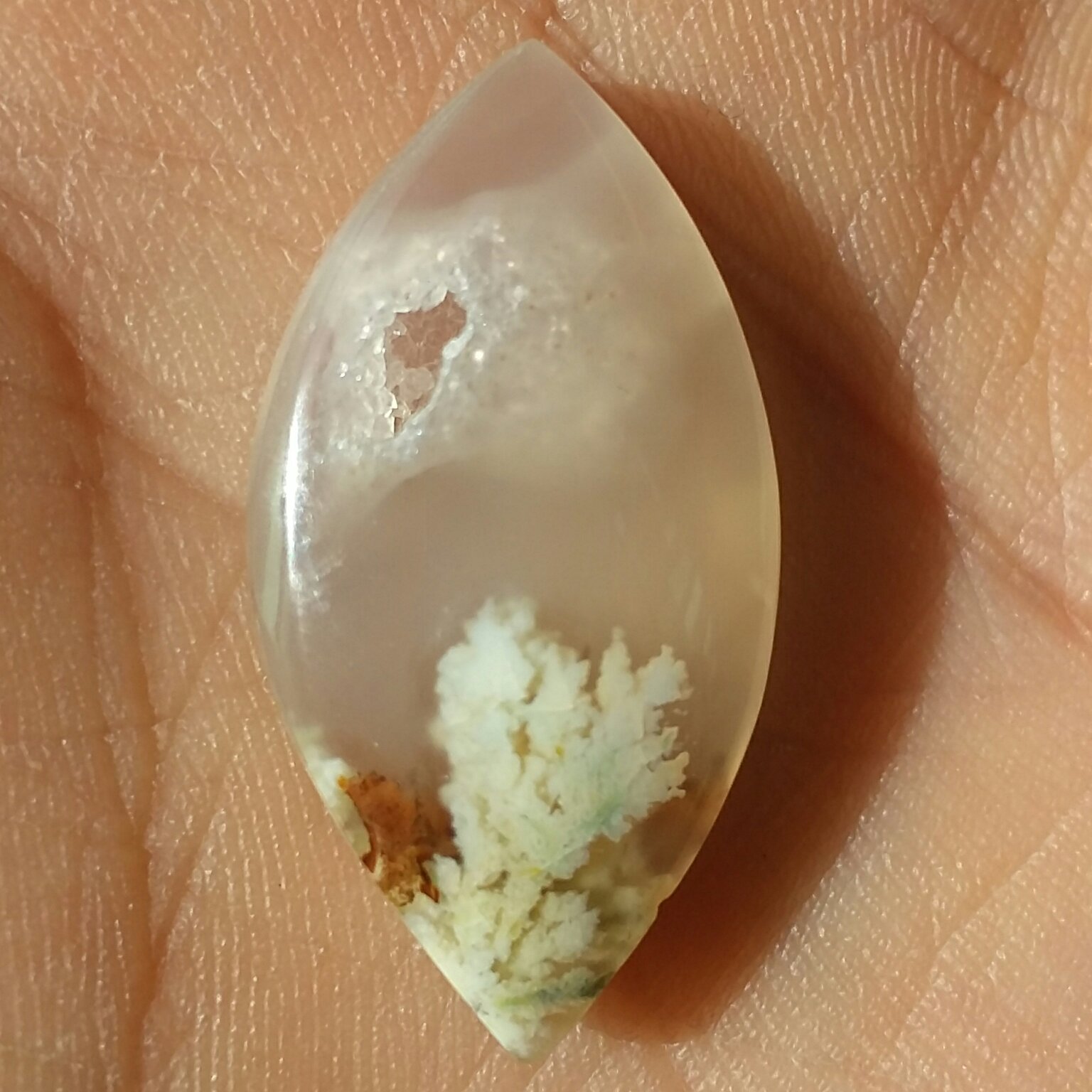 نگین شجر شکوفه 7رنگ ژئود دار محشر شاهکار خلقت 100درصد طبیعی باشجرهایی بسیار واضح