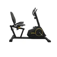 دوچرخه ثابت پشتی دار مگنتی مارشال فیتنس مدل MF116L