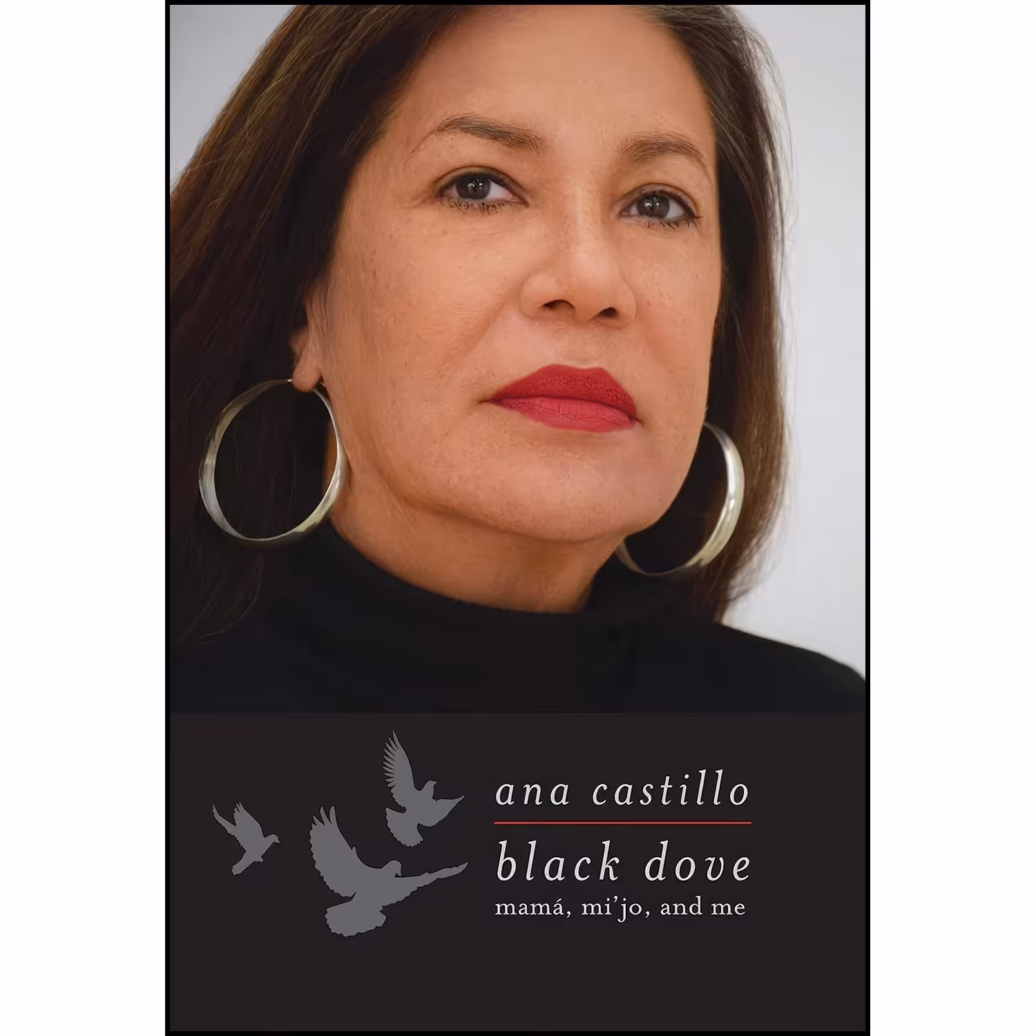 کتاب زبان اصلی Black Dove اثر Ana Castillo