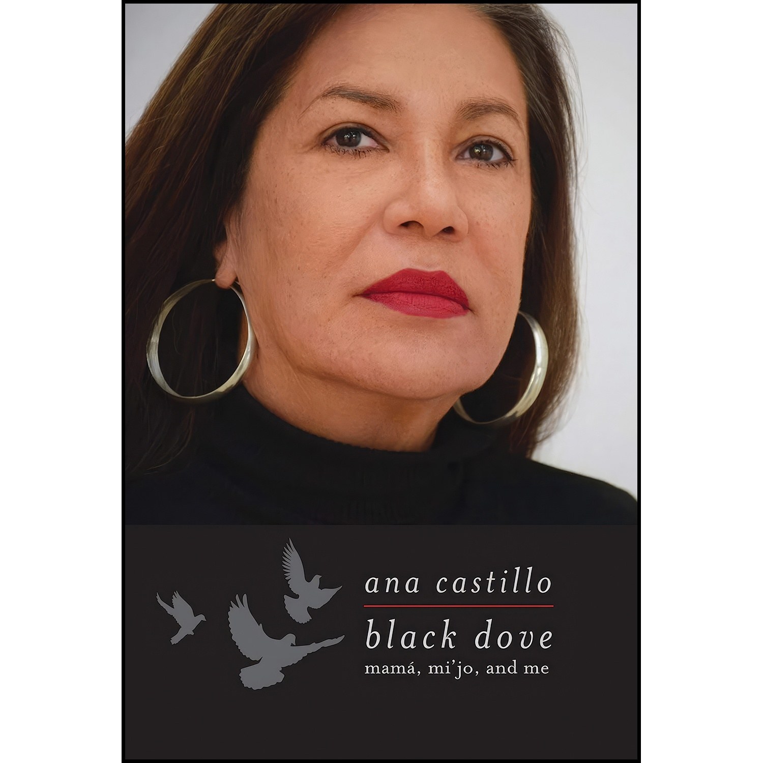 کتاب زبان اصلی Black Dove اثر Ana Castillo