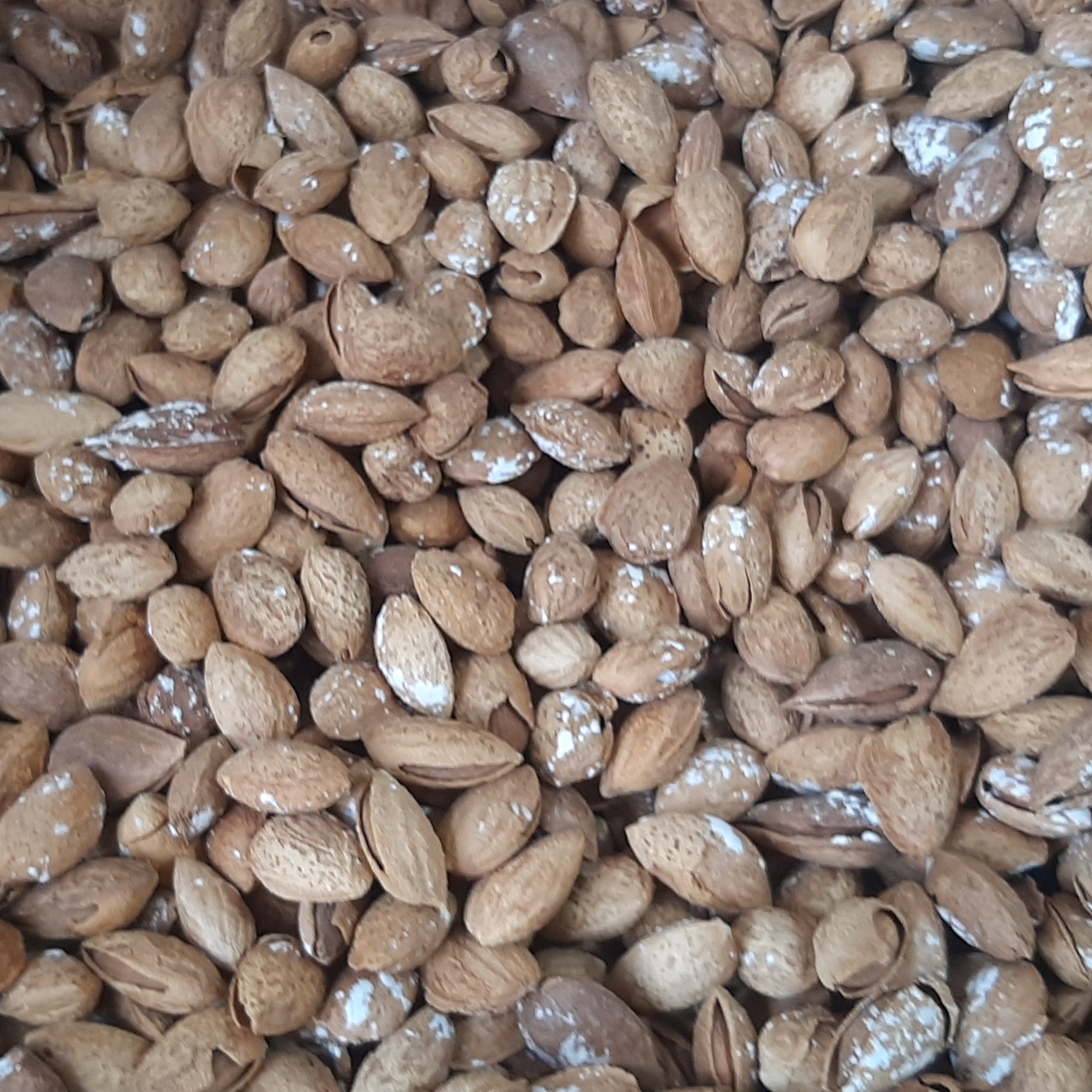 بادام کاغذی 500 گرم