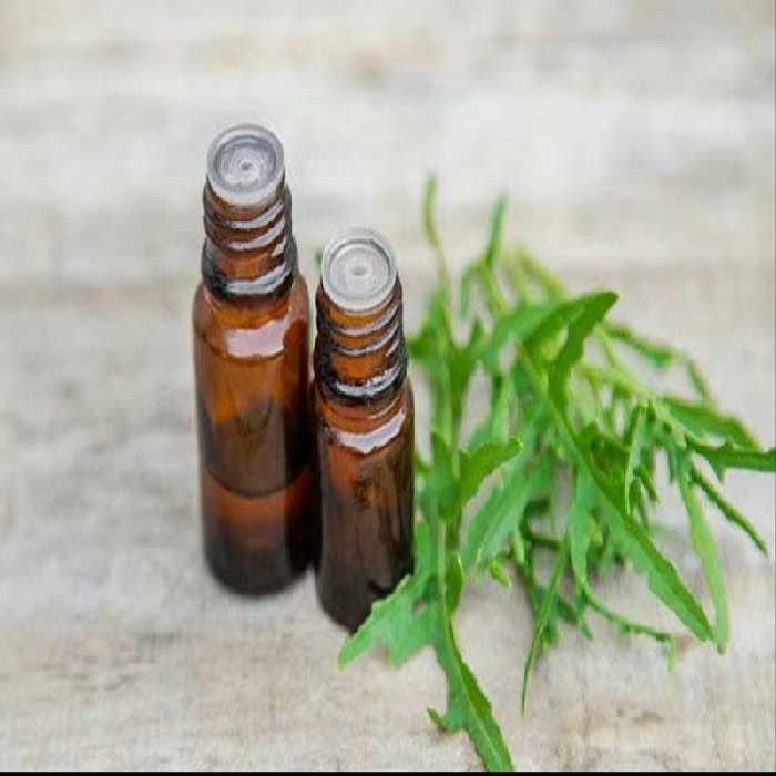 روغن منداب مفید برای درد ارتروز صد در صد ارگانیگ( 60سی سی)عطاری اصیل