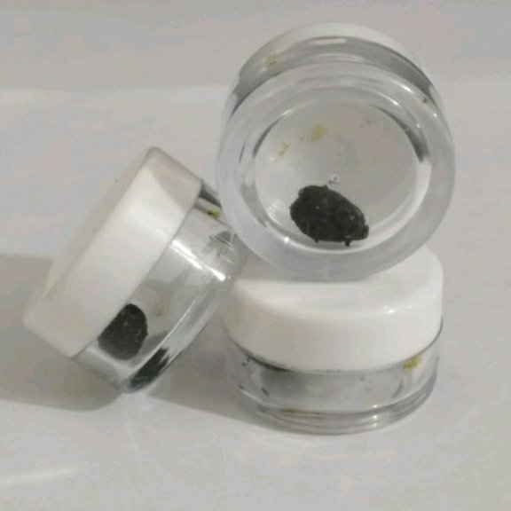 ترکیب گیاهی جامع امام هشتم فدک (3عدد)