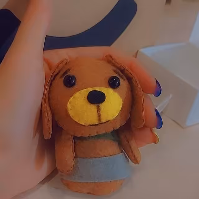 جاسوئیچی  سگ