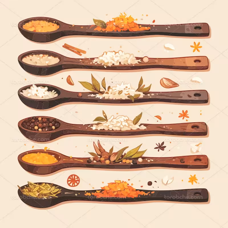 وکتور نقاشی انواع ادویه جات | گرافیک با طعم تربچه