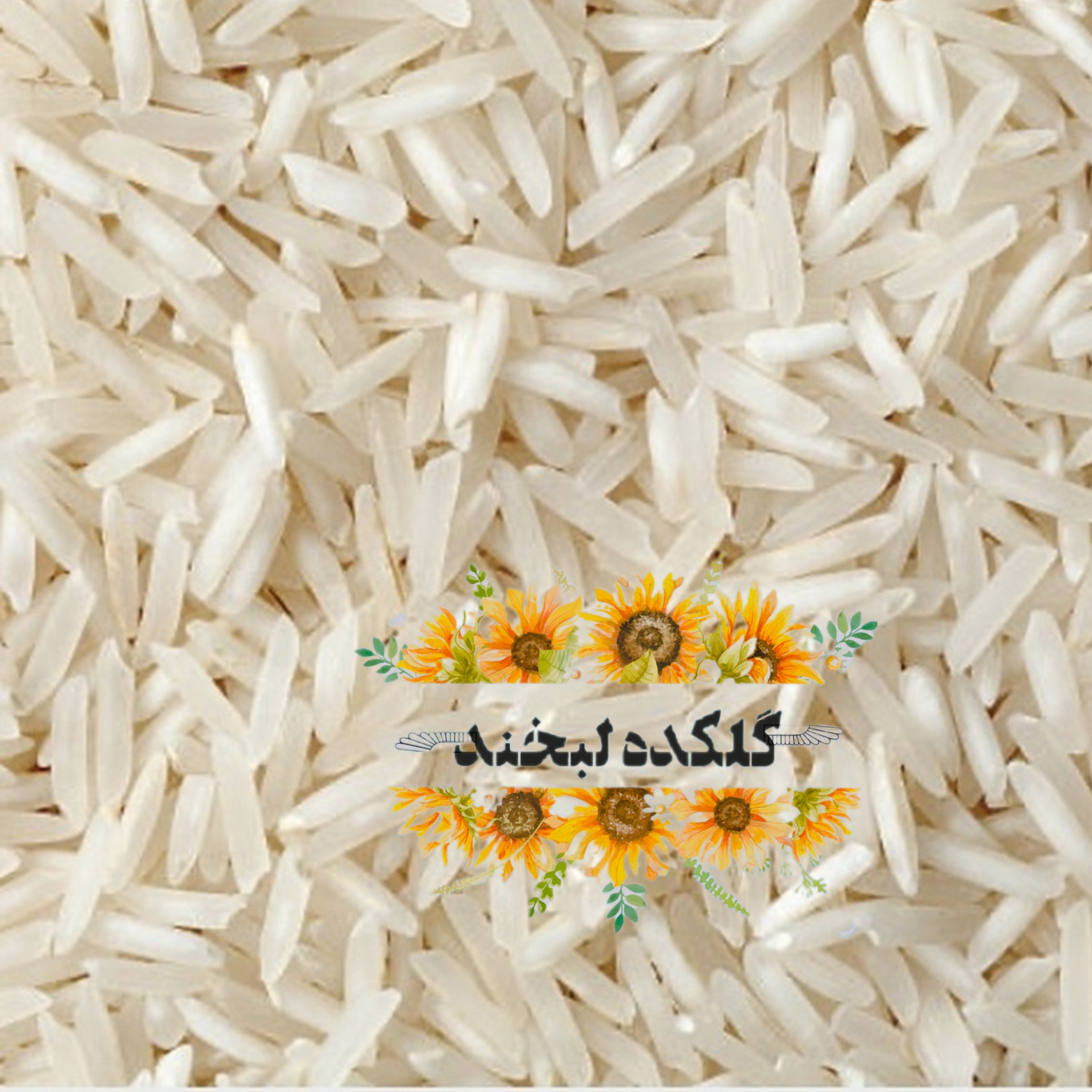 برنج طارم هاشمی بابل( 3000گرمی)
