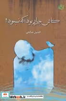 قیمت و خرید کتاب کاش جایی بود؛که نبود اثر افشین صالحی | ایده بوک
