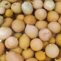 ترشی لیمو- 900 گرم