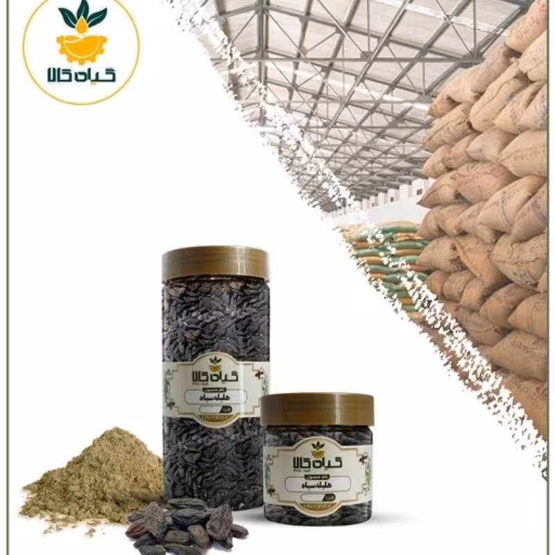 هلیله سیاه بار امسالی و تازه(5کیلوگرم)