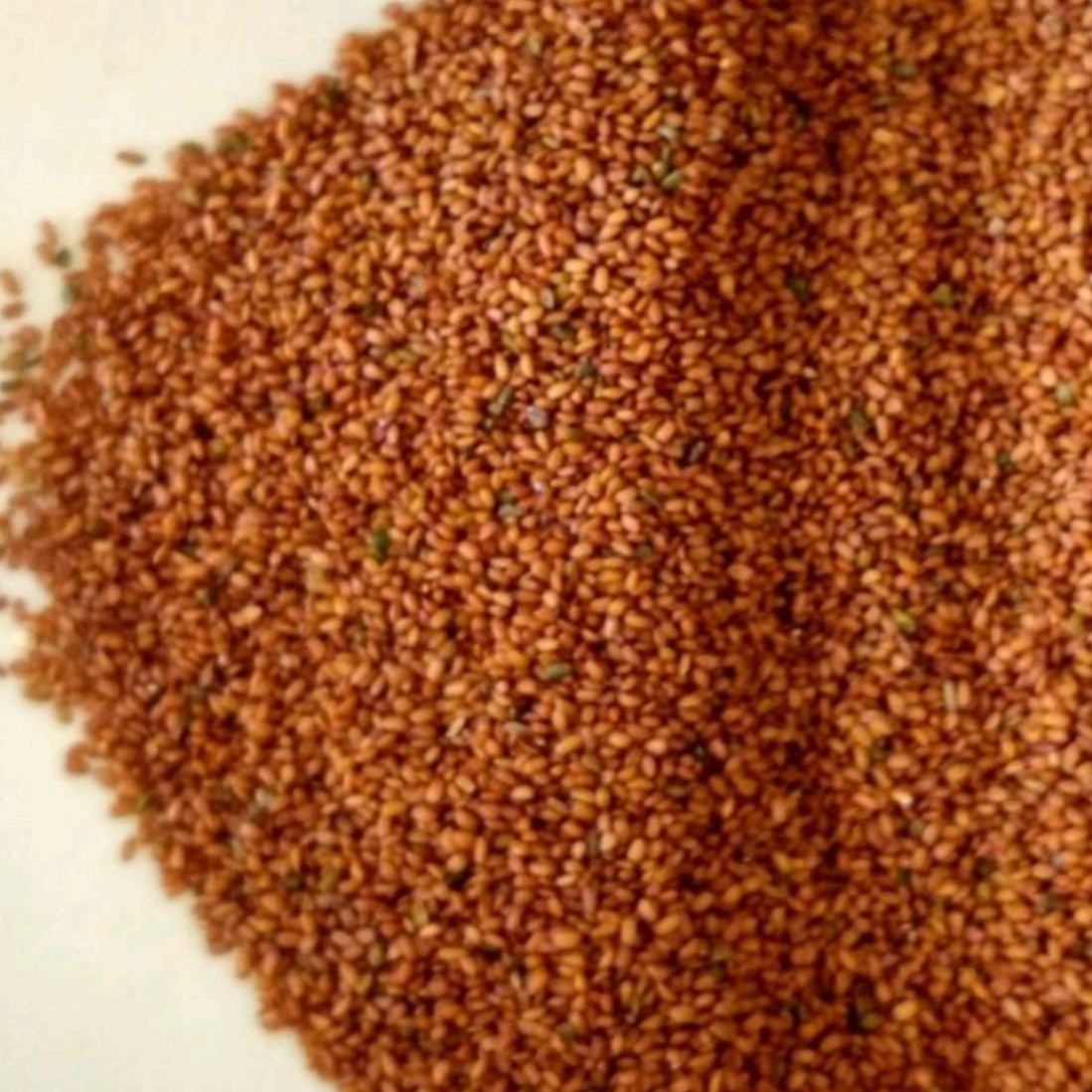 خاکشیر درجه یک همدان 5 کیلویی ارسال رایگان