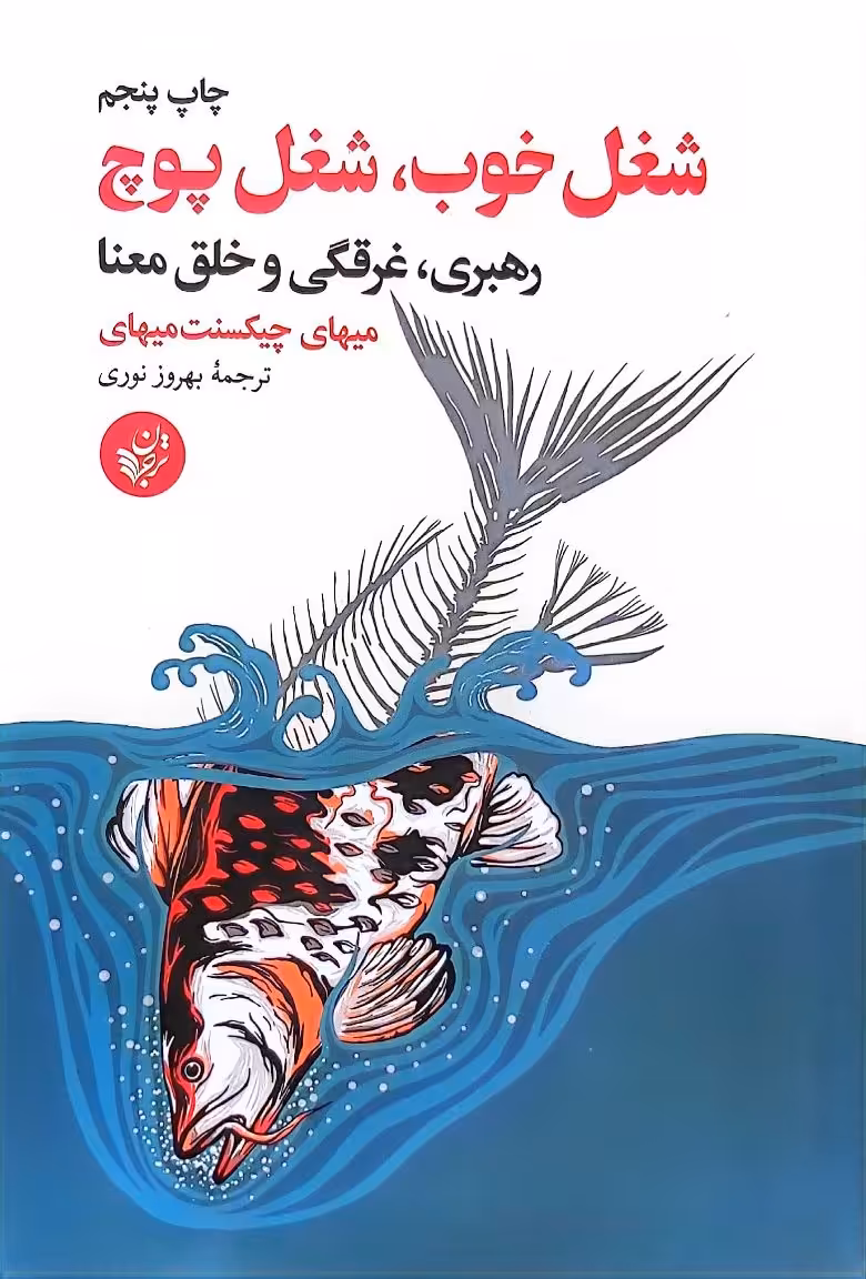 کتاب شغل خوب، شغل پوچ