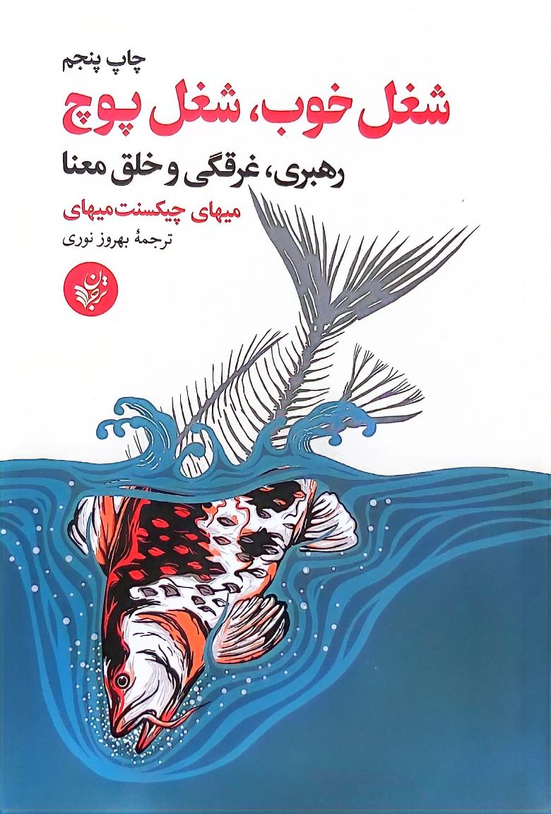 کتاب شغل خوب، شغل پوچ