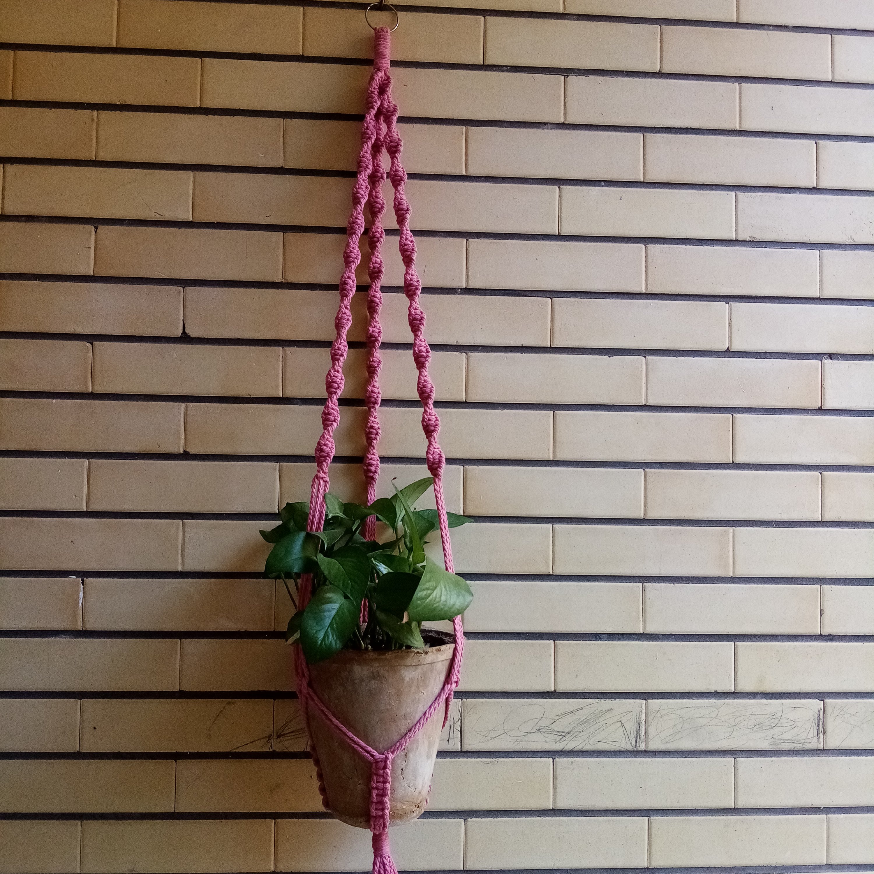 آویز گلدان مکرومه 