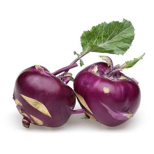 بذر کلم قمری بنفش