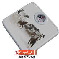 ترازو عقربه ای شقایق MS 102