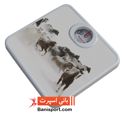 ترازو عقربه ای شقایق MS 102