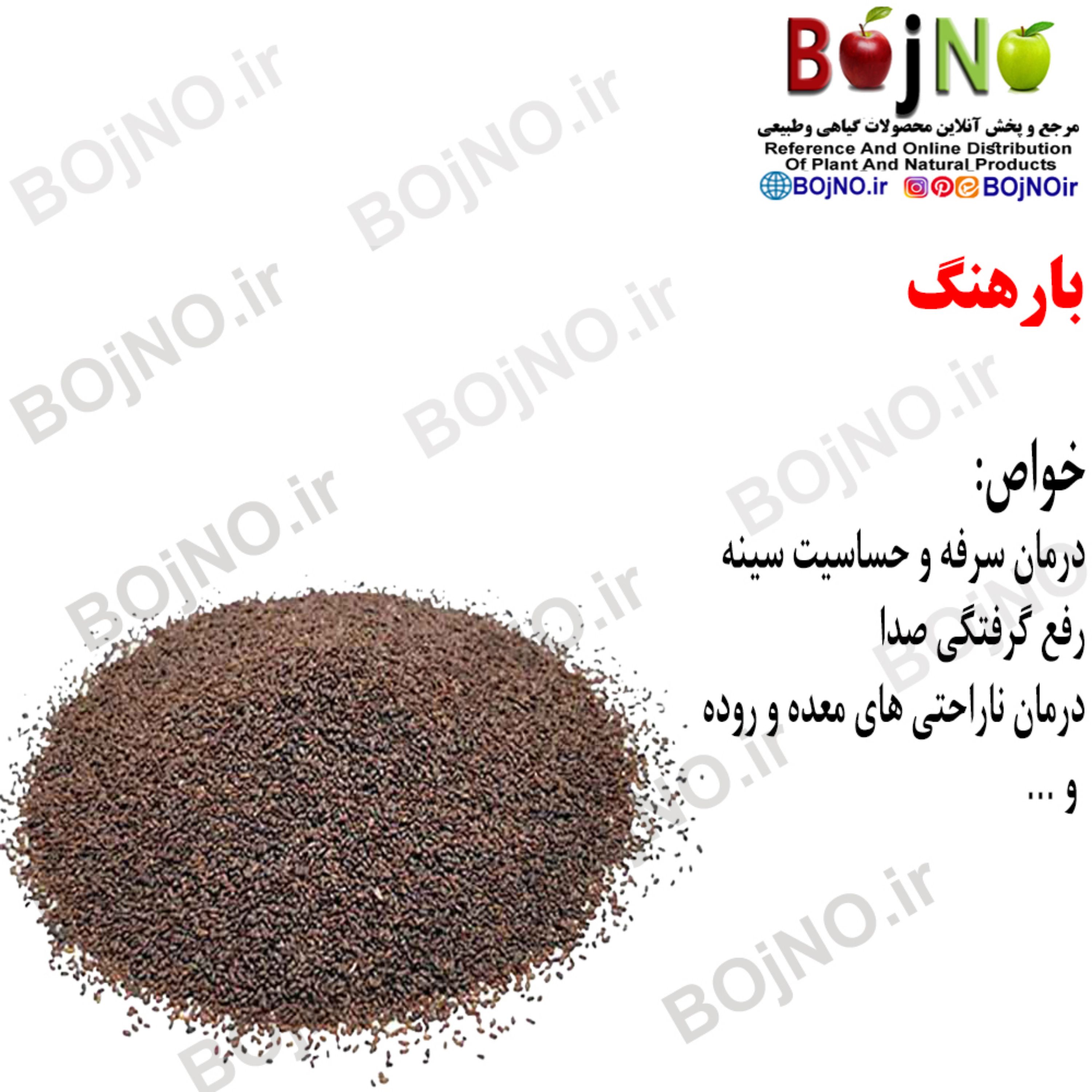 بارهنگ (بسته 50 گرمی)