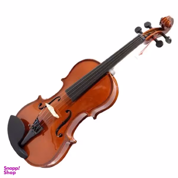 ویولن آماتی کد 100