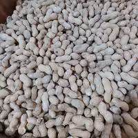 بادام زمینی