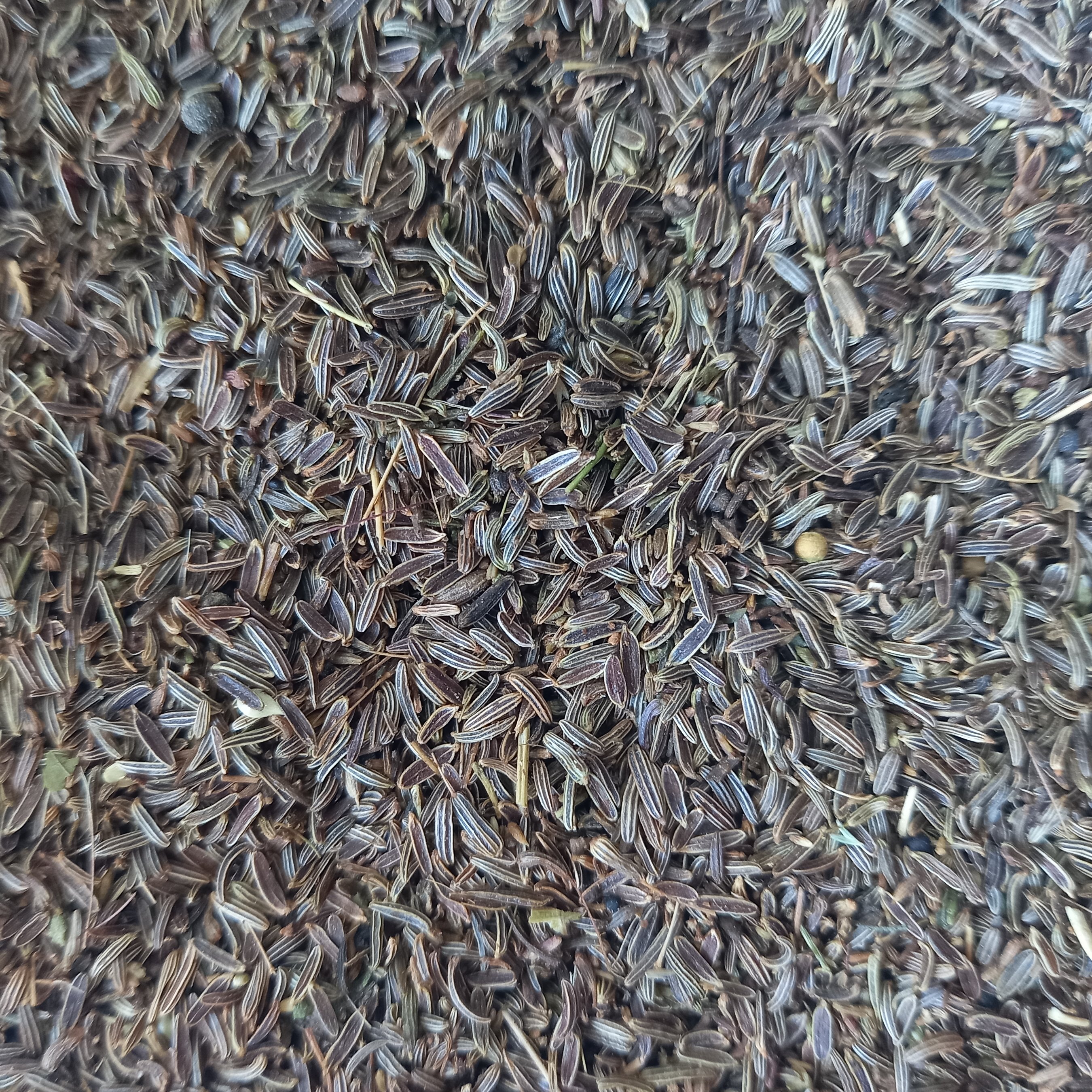 زیره سیاه 100 گرمی ،طب سنتی ، ادویه ، چاشنی ، رشت 