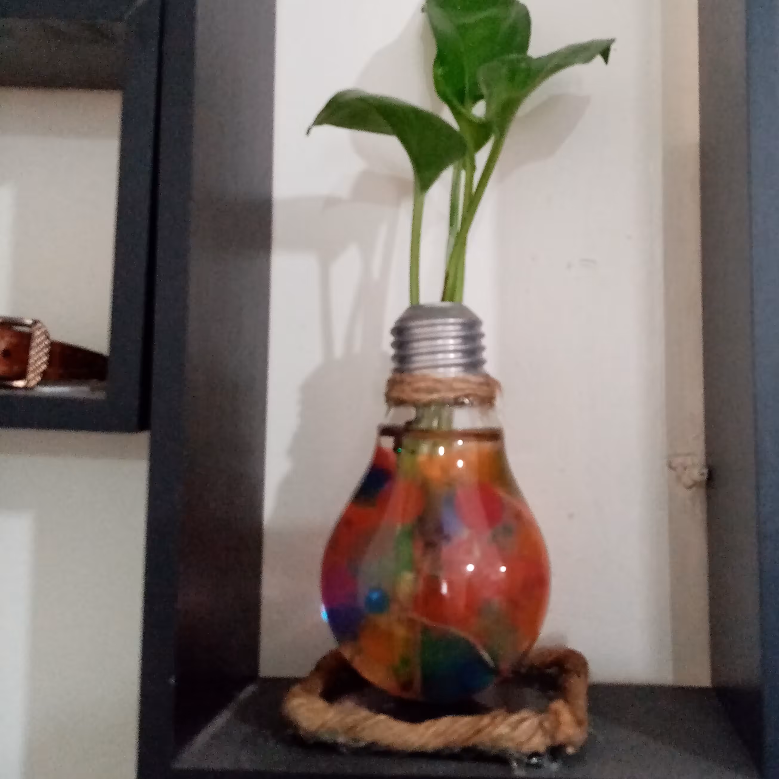 باغ شیشه ای