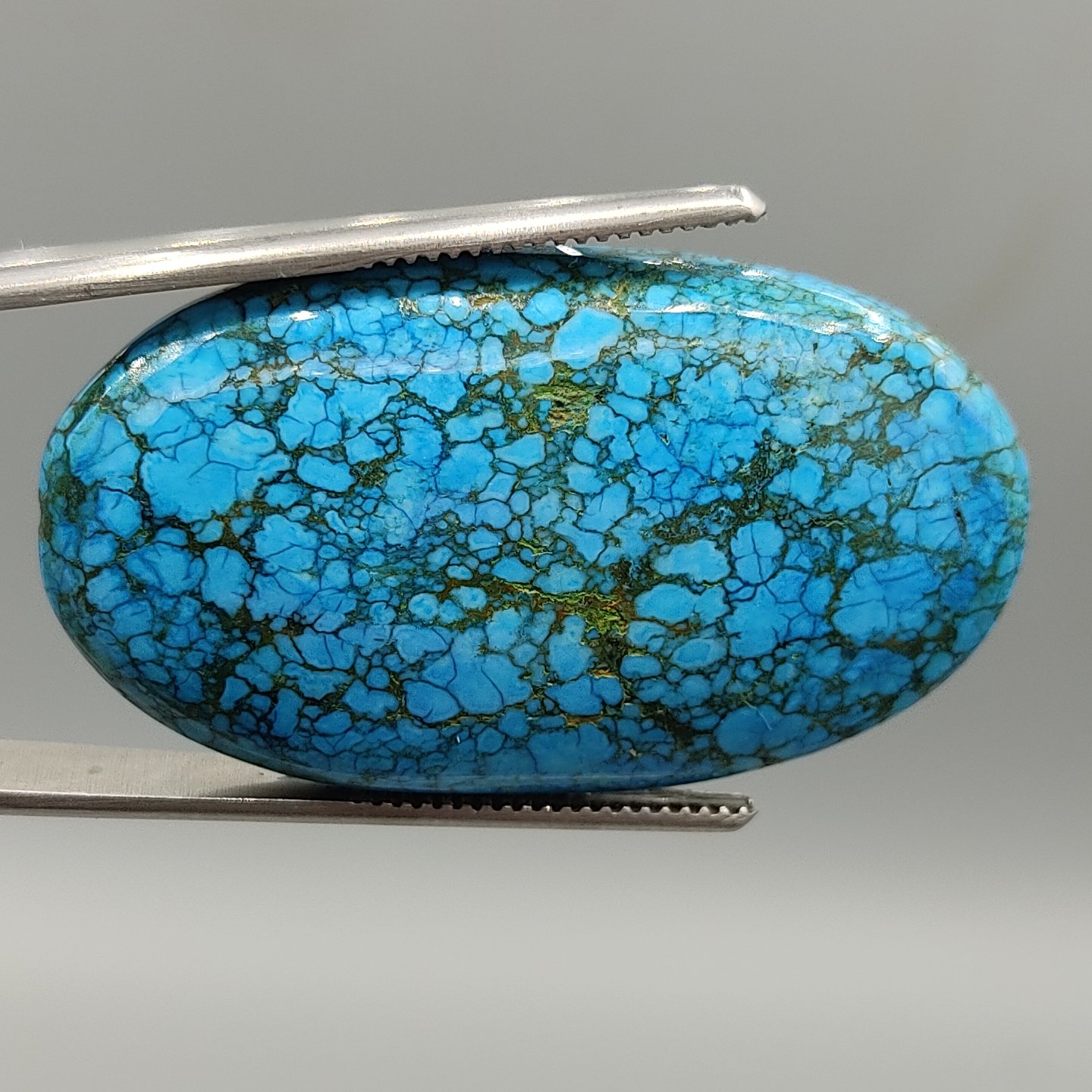 فیروزه عنکبوتی آمریکایی سایز درشت گردنی کلکسیونی 