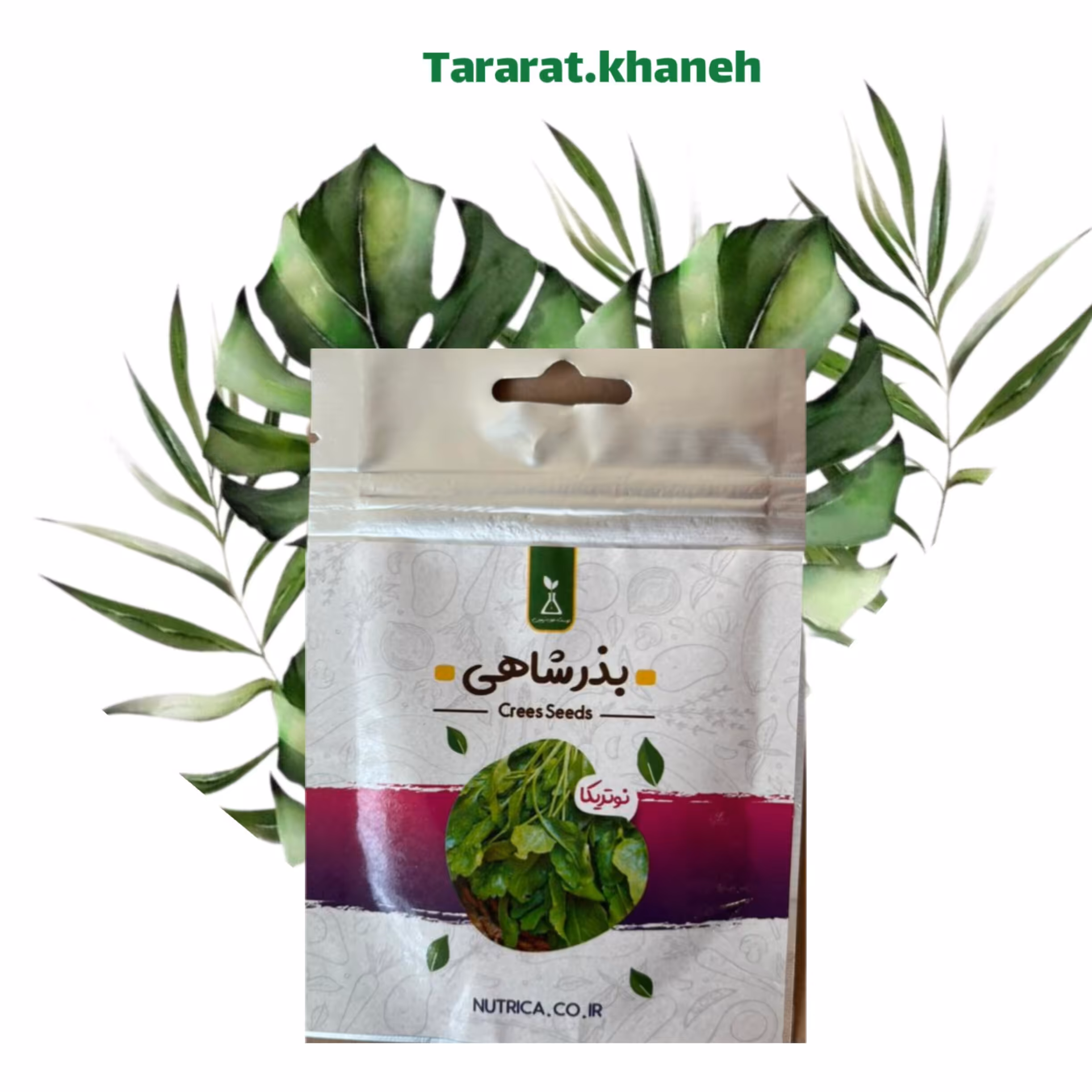 بذر شاهی مناسب برای کاشت در منزل