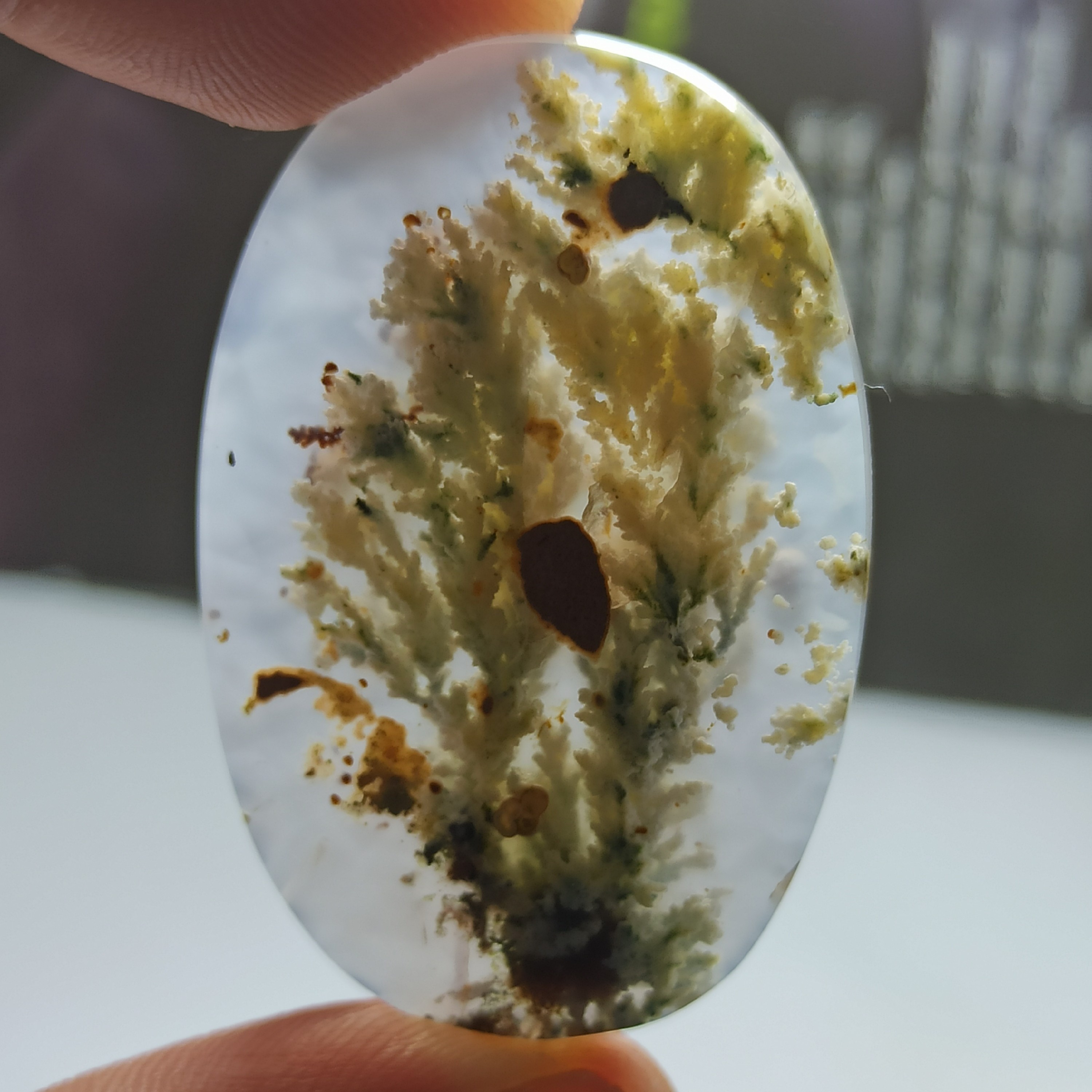 نگین منظره شجره شکوفه بهاری با گلهای درختچه ای با ابعاد بزرگ و کشیده هندسه بیضی و تراش و جلا عالی