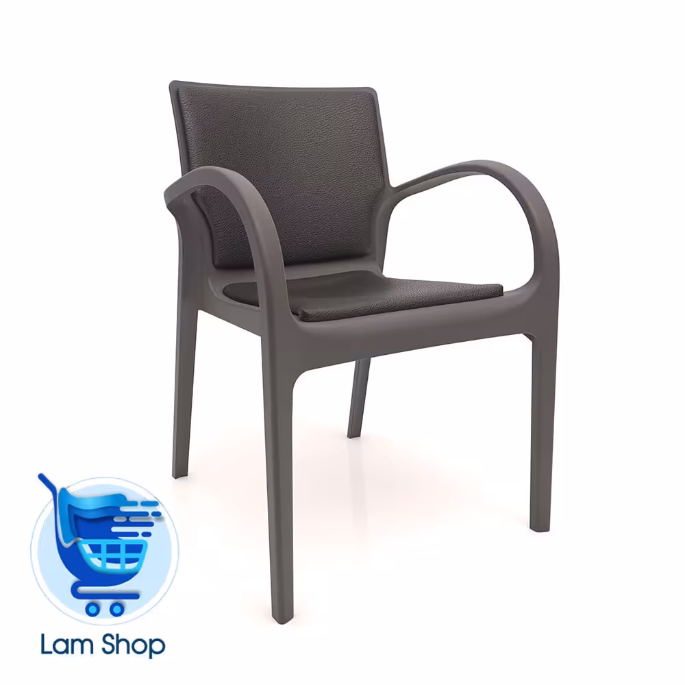 صندلی دسته دار دژاوو با تشک کف و پشت P807A نظری(زمان ارسال 15 تا 20 روز کاری)