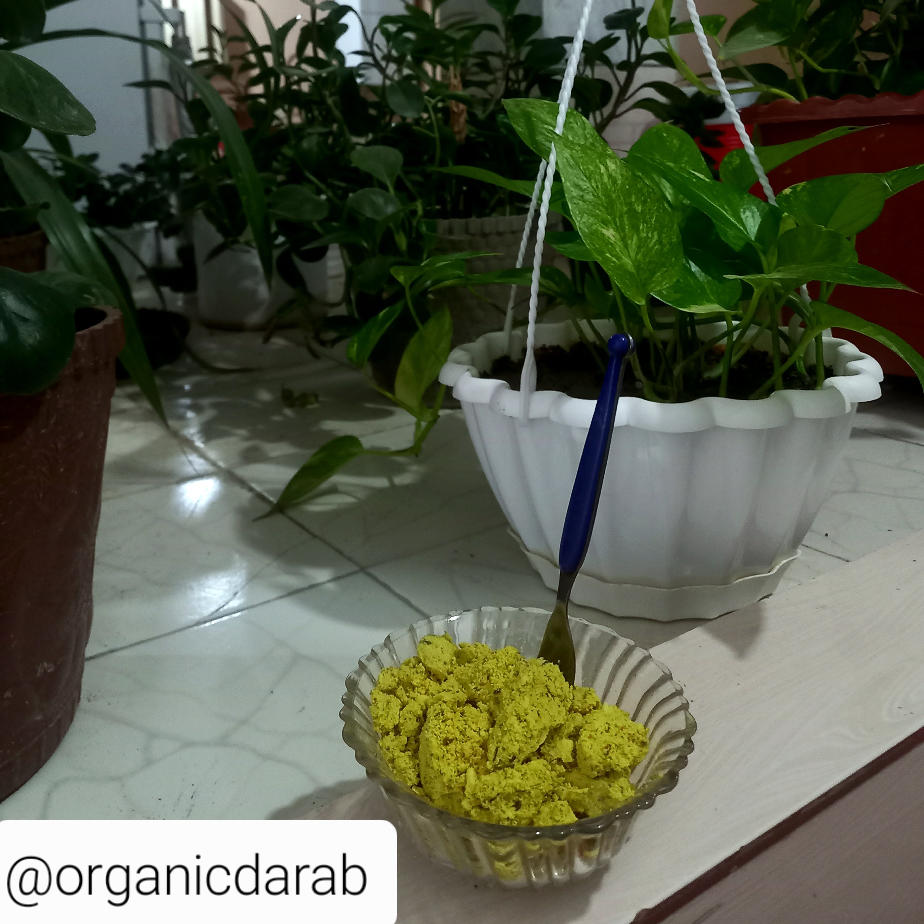 کشک پوستی محلی تازه