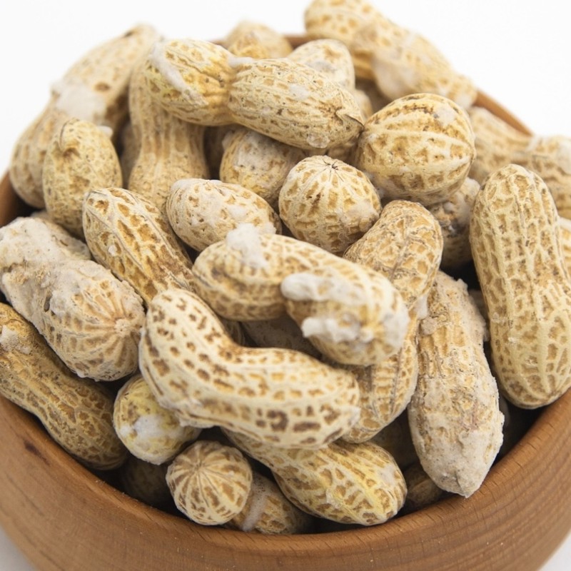 بادام زمینی