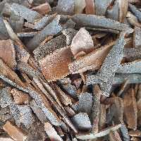 چوب دارچین سیلانی