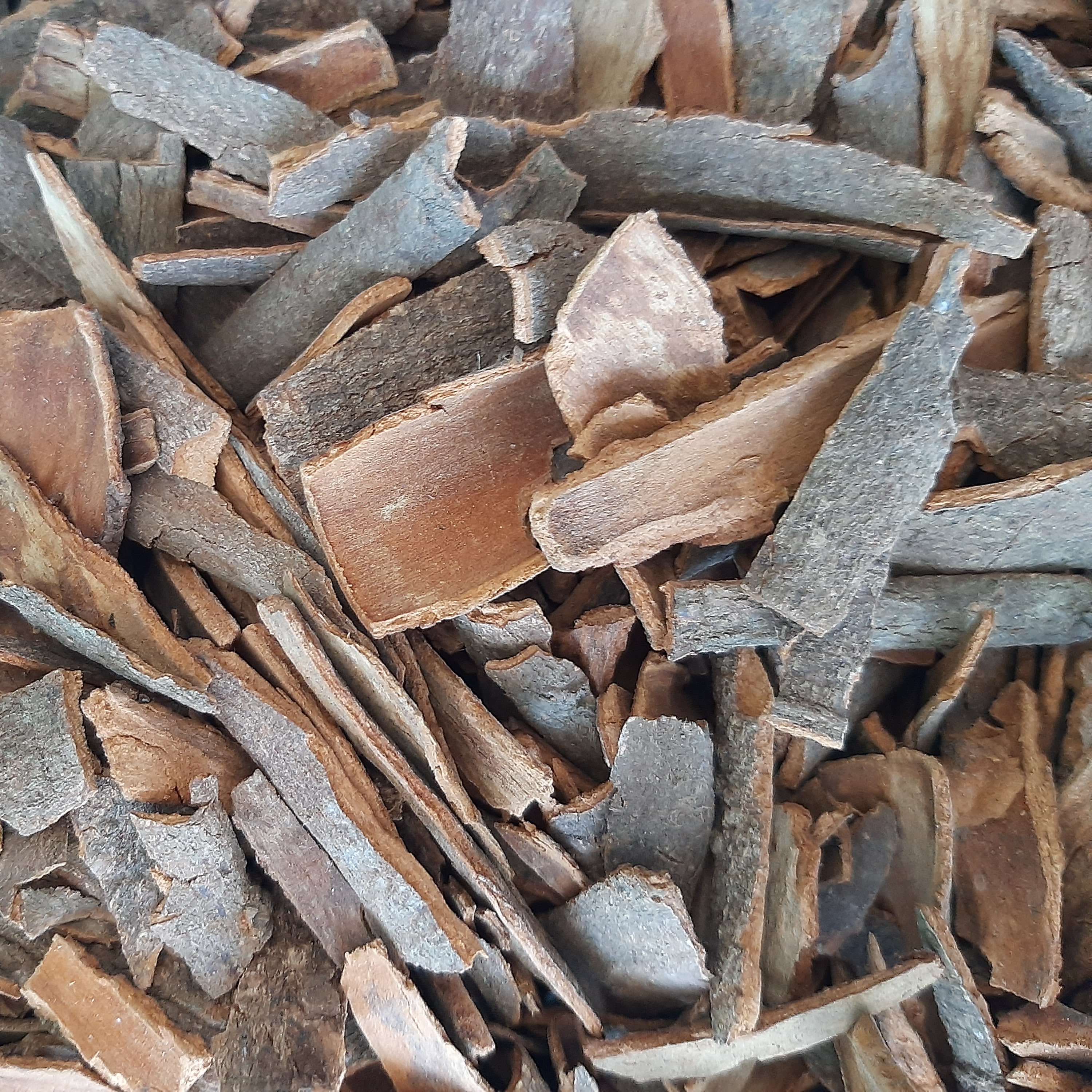 چوب دارچین سیلانی