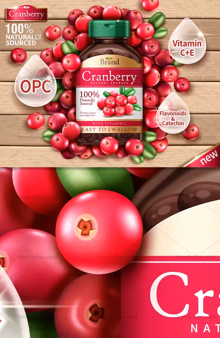 وکتور پوستر تبلیغاتی زغال اخته | گرافیک با طعم تربچه