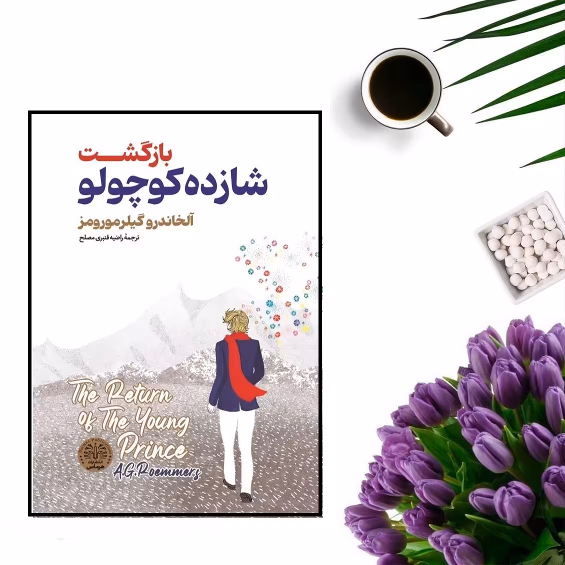 کتاب بازگشت شازده کوچولو اثر الخاندرو گیلر مور رومز انتشارات هرماس