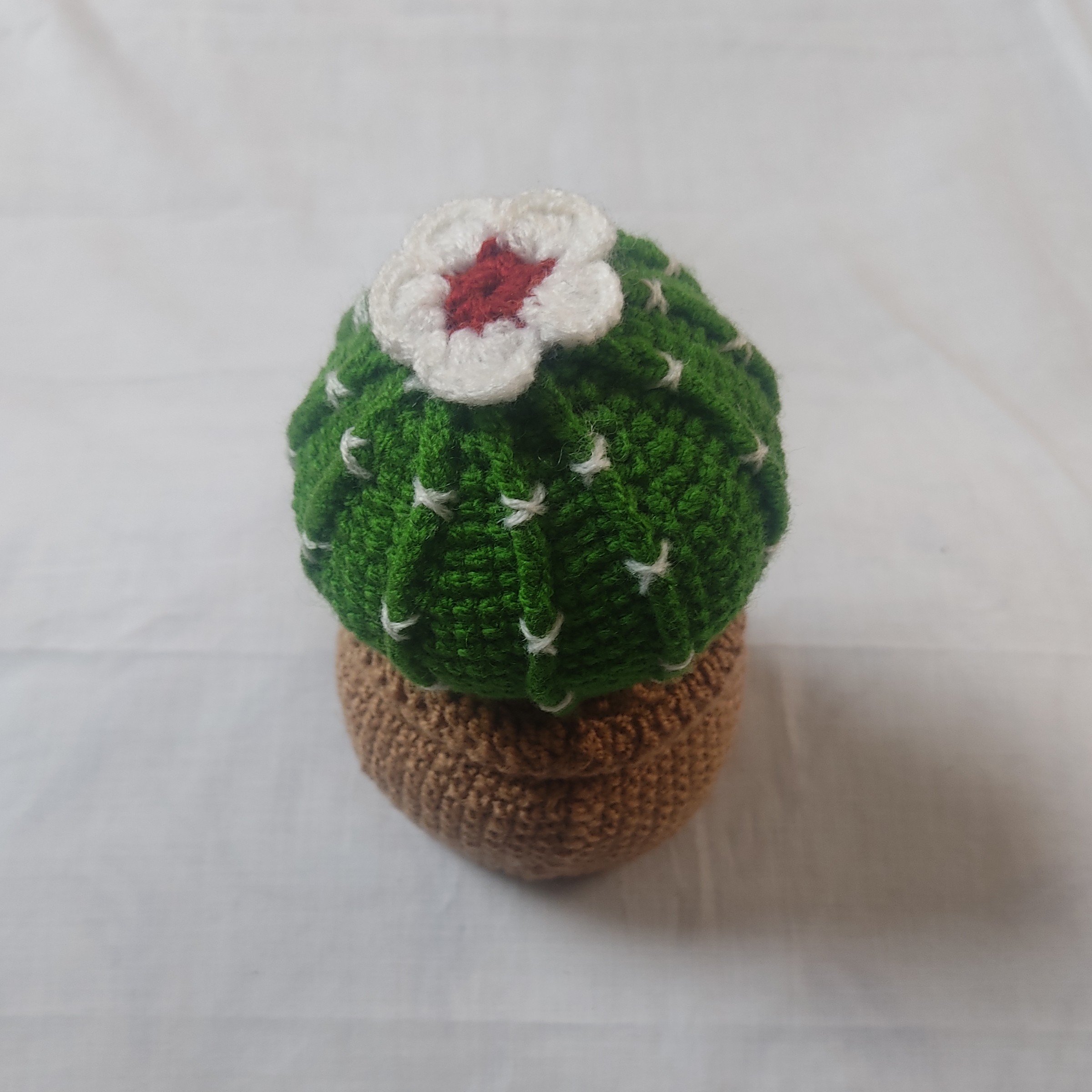 کاکتوس بافتنی کاموایی گرد گلدار سبز  15 سانتی متری