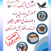 آموزش آبرنگ چهار مدل پرنده آبرنگی