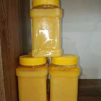 روغن زرد گاوی بی بو درجه یک طبیعی