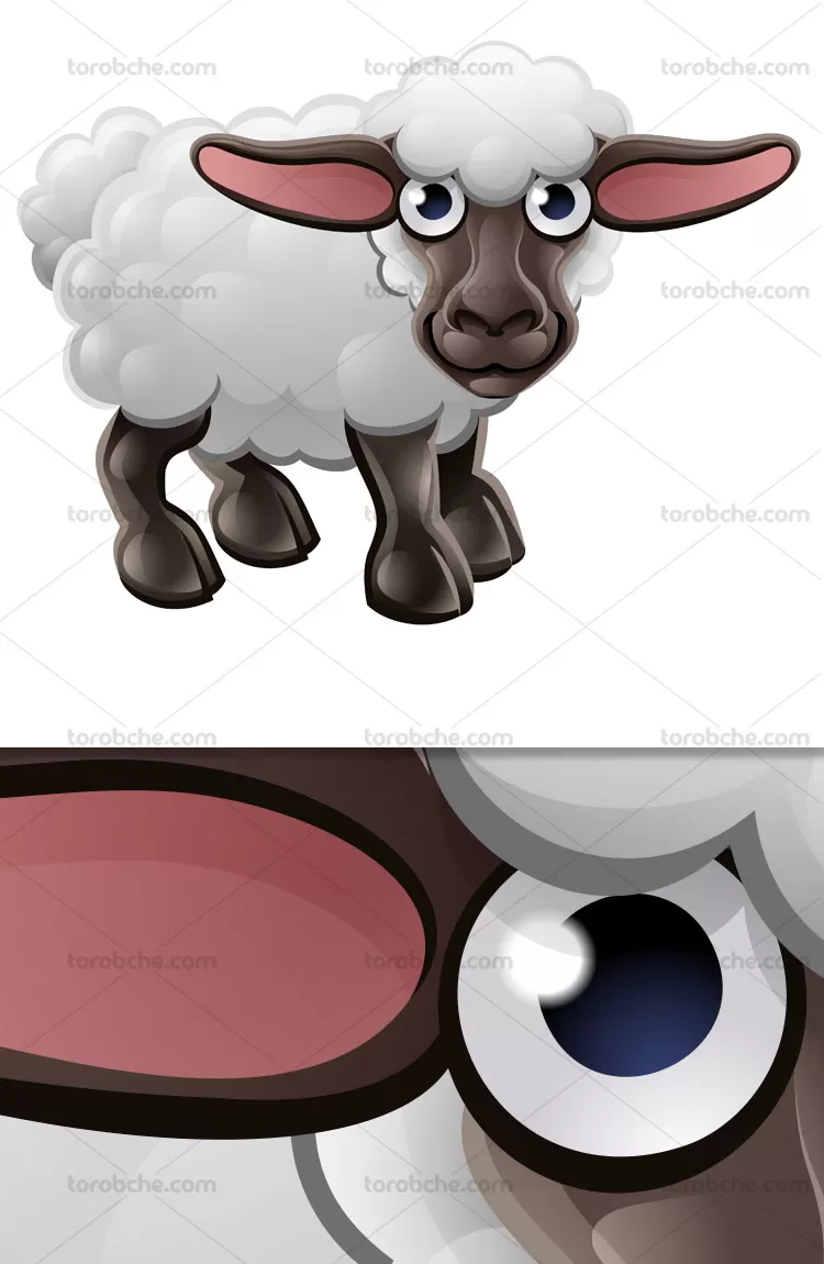 وکتور گوسفند کارتونی با کیفیت | گرافیک با طعم تربچه