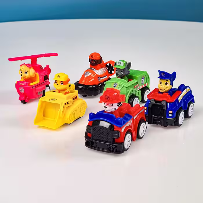 فیگور 6 عددی سگهای نگهبان پاوپاترول paw patrol با ماشین  مدل P/G6/A